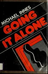 Cover of Going it alone