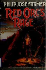 Cover of Red Orc's rage