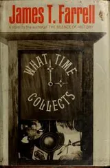 Cover of What time collects