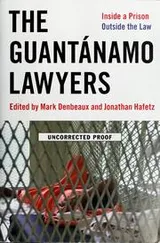 Cover of The Guantánamo lawyers