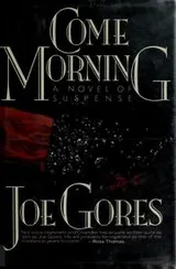 Cover of Come Morning