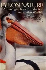 Cover of Eye on nature