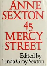 Cover of 45 Mercy Street