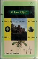 Cover of A Rum affair