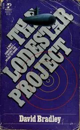 Cover of The Lodestar project