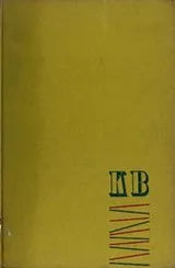 Cover of The seagull on the step