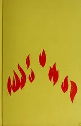 Cover of American lit relit