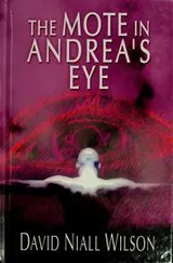 Cover of The mote in Andrea's eye