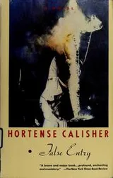 Cover of False Entry