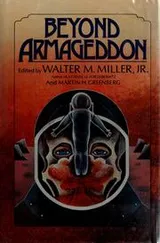 Cover of Beyond Armageddon