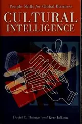 Cover of Cultural intelligence