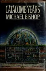 Cover of Catacomb years