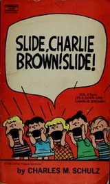 Cover of Slide, Charlie Brown! Slide!
