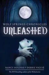 Cover of Wolf Springs Chronicles