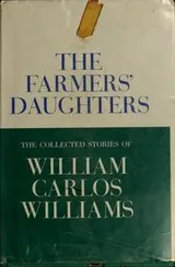 Cover of The farmers' daughters