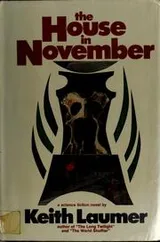 Cover of The house in November