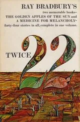 Cover of Twice twenty-two