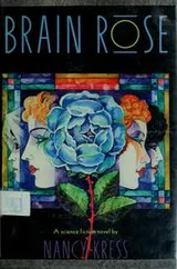 Cover of Brainrose
