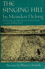 Cover of The singing hill