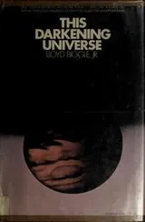 Cover of This darkening universe