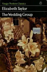 Cover of The wedding group