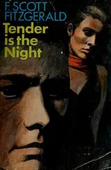 Cover of Tender is the Night