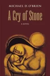 Cover of A cry of stone