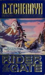 Cover of Rider at the gate