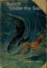 Cover of Secret Under the Sea
