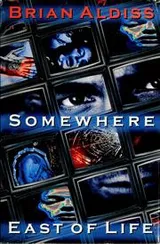 Cover of Somewhere east of life
