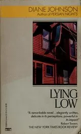 Cover of Lying Low