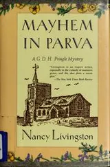 Cover of Mayhem in Parva