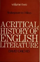Cover of A critical history of English literature