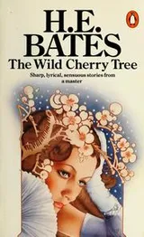 Cover of The Wild cherry tree