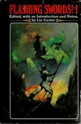 Cover of Flashing Swords #1