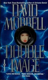Cover of Double image