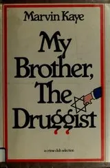 Cover of My brother, the druggist