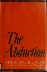 Cover of The abduction