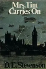 Cover of Mrs. Tim Carries On