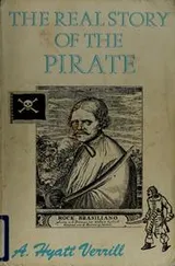Cover of The real story of the pirate