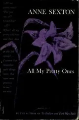 Cover of All My Pretty Ones
