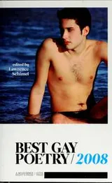 Cover of Best Gay Poetry 2008