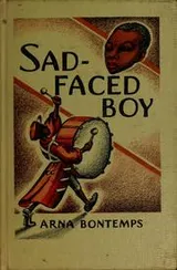 Cover of Sad-faced boy