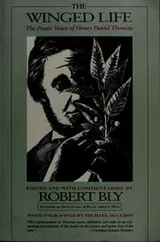 Cover of The Winged Life
