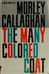 Cover of The Many coloured coat