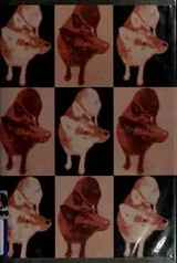 Cover of Underdog