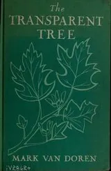 Cover of The transparent tree