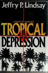 Cover of Tropical depression