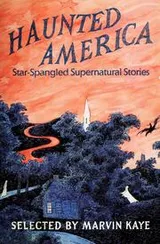 Cover of Haunted America