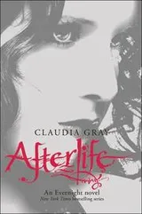 Cover of Afterlife